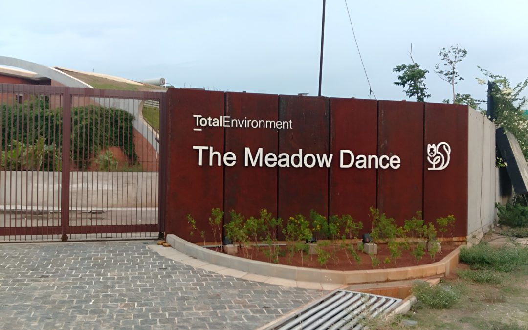 Meadow Dance (TMD)