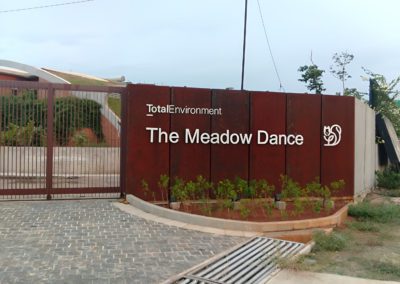 Meadow Dance (TMD)